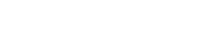 LOGIKA300 Logo